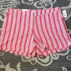 Crown & Ivy Pink and White High Waist Shorts